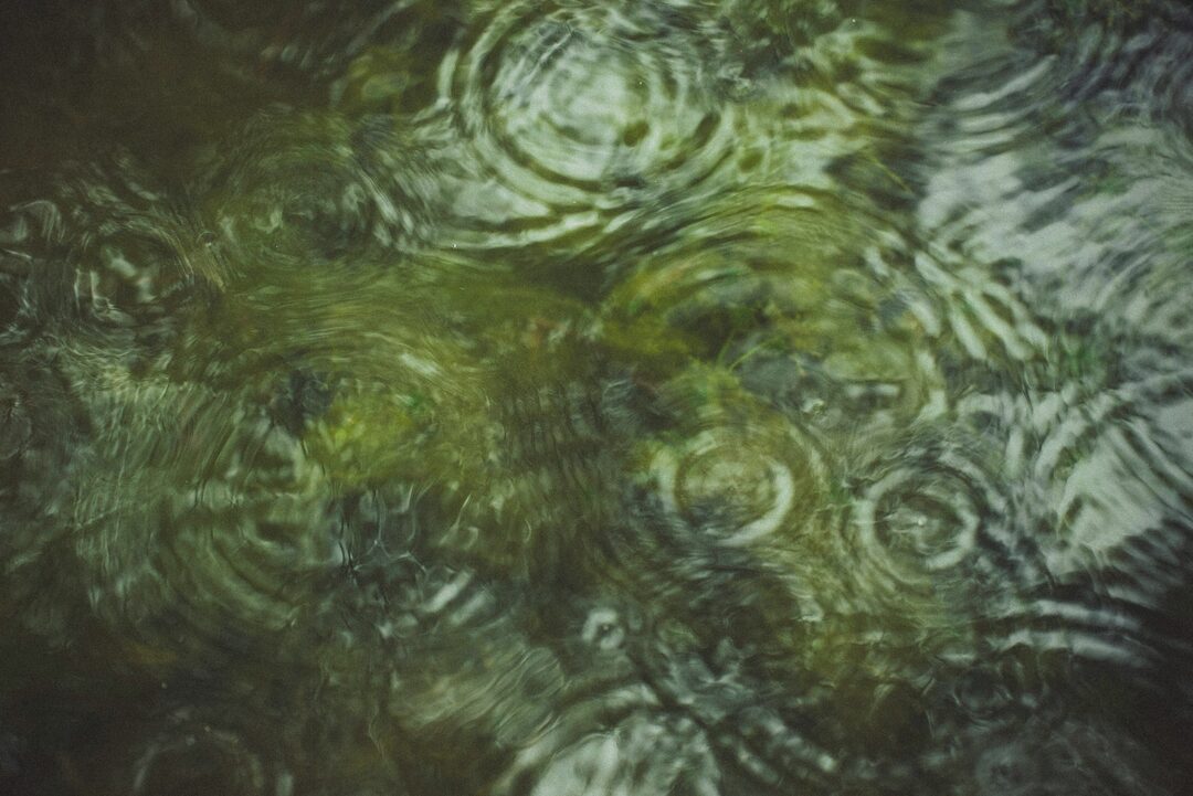 Kaivo